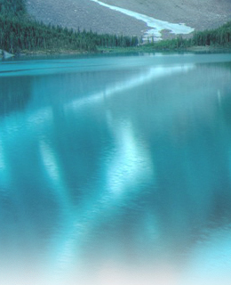 rescon-colorbg02