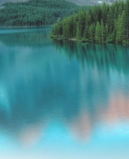rescon-colorbg03
