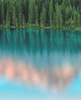 rescon-colorbg04